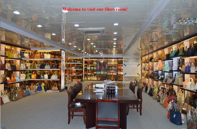 Designer Woman Handbag Lady Shoulder Handbag