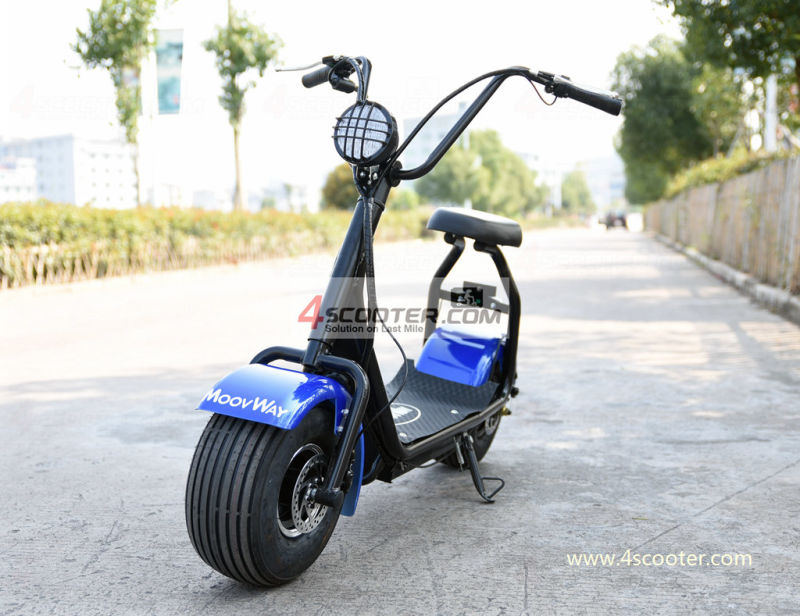 Cheap Model Two Wheels Cool Sport Electric Scooter Motorbike Citycoco