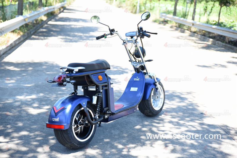 2020 New Hot Selling Heavy Load Citycoco Scooter Electric Motorbike