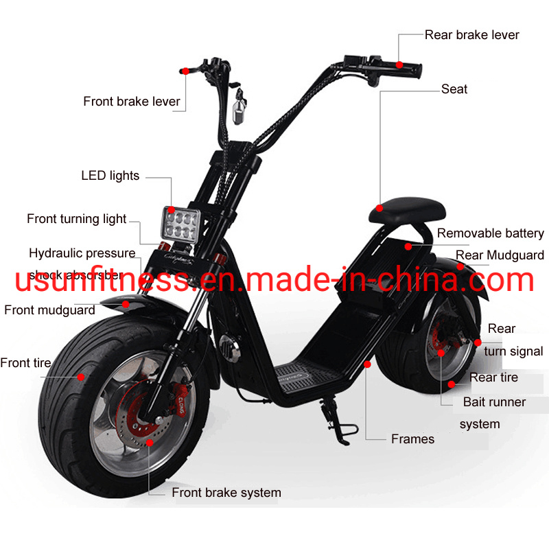 2021 Hot Electric Motorbike with Powerful Engine and Fat Tire