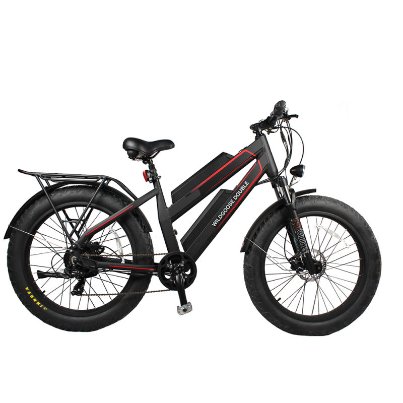 48V 750W Fat Bike Dual Lithium battery Electric Bicycle