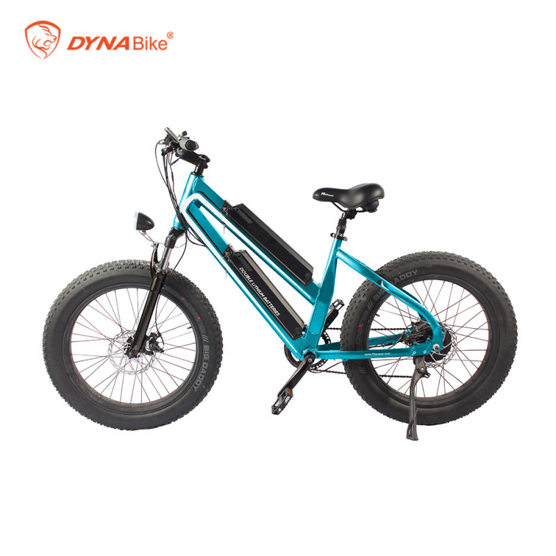 Dual Lithium battery 48V 750W Bafang Motor Fat Bike