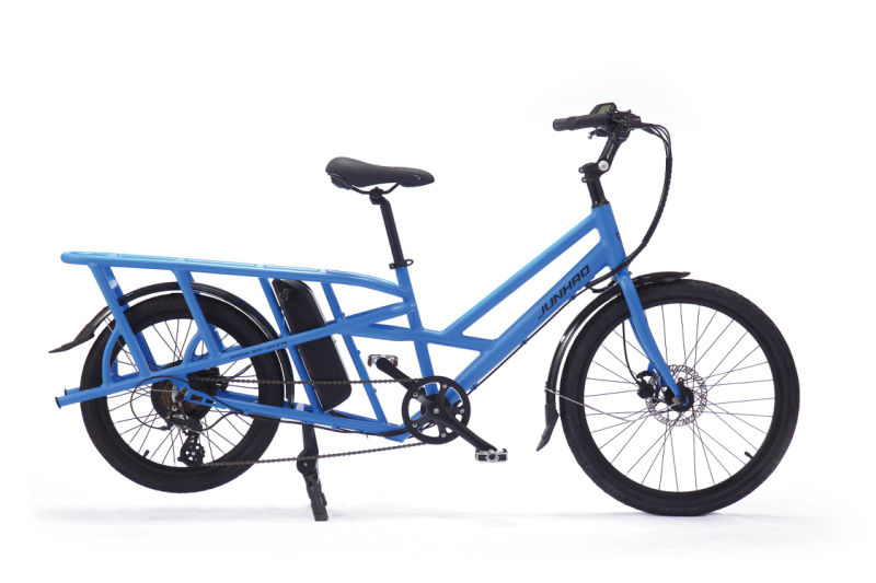 Lithium Battery Electric Cargo Bike with Double Battery Long Range