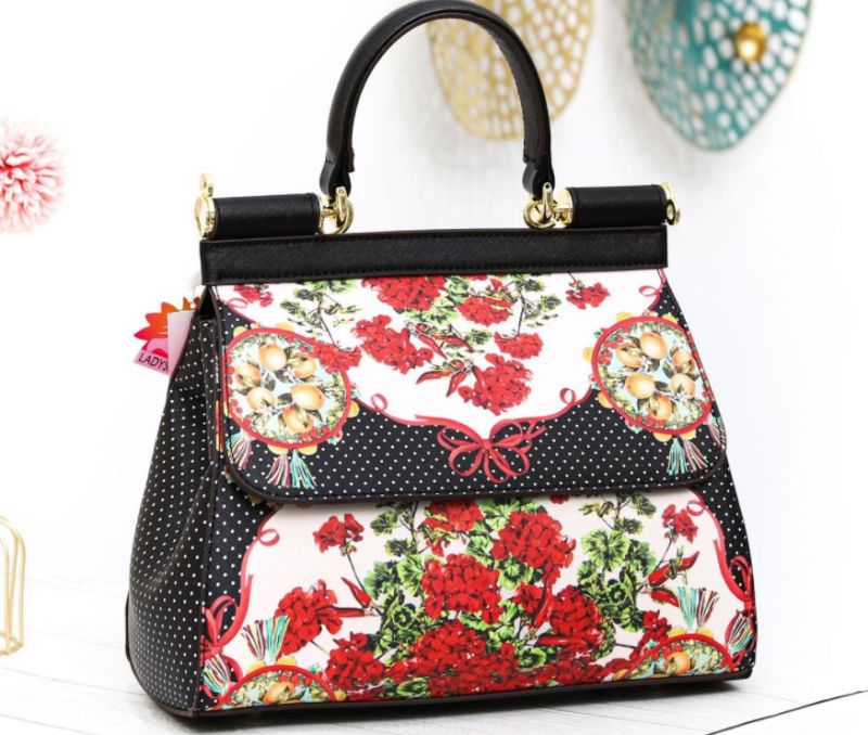 Women Handbag Lady Handbag Designer Handbag Customer OEM/ODM Handbag Wholesale Handbag (WDL5015)