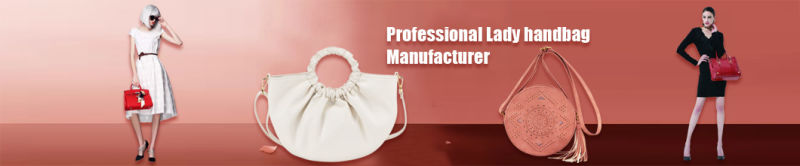 Fashion Bags Ladies Handbags High Quality Leather Shoulder Handbags Ladies (ZX10377)