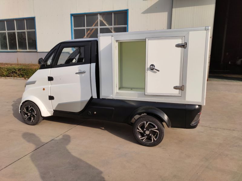 Mobility 4 Wheel EEC Electric Cargo Van for Express Delivery