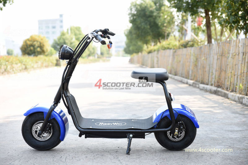 Cheap Model Two Wheels Cool Sport Electric Scooter Motorbike Citycoco