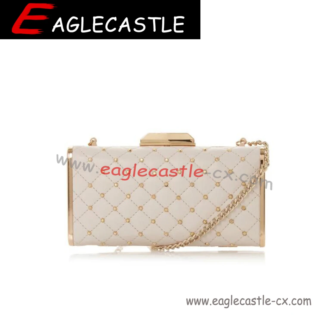 Hot Selling Young Ladies' Handbags, Women Handbag, Party Bag, Fashion Handbag, Wedding Bag (CX20752)