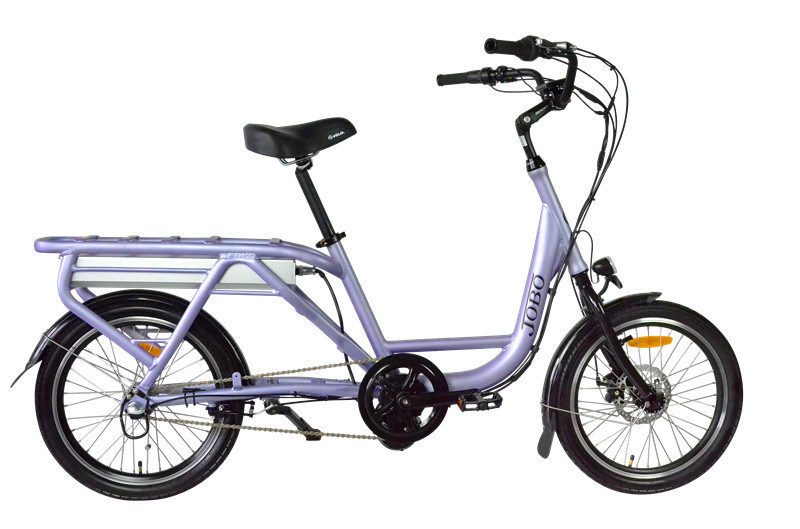 20" 500W Electric Foldable Bikes for Kfc