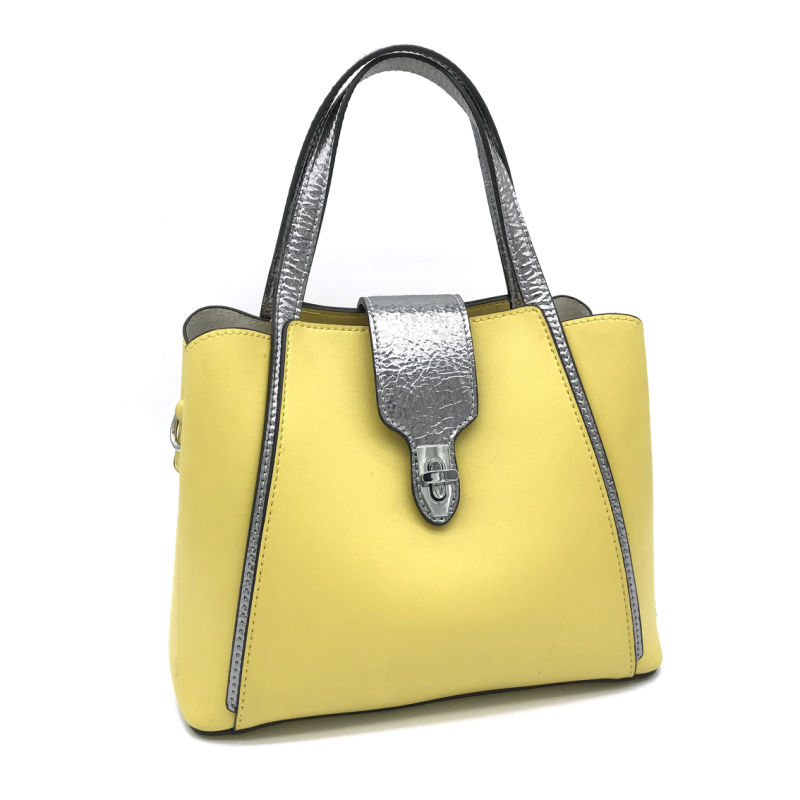 New Fashion Trendy Handbags for Women