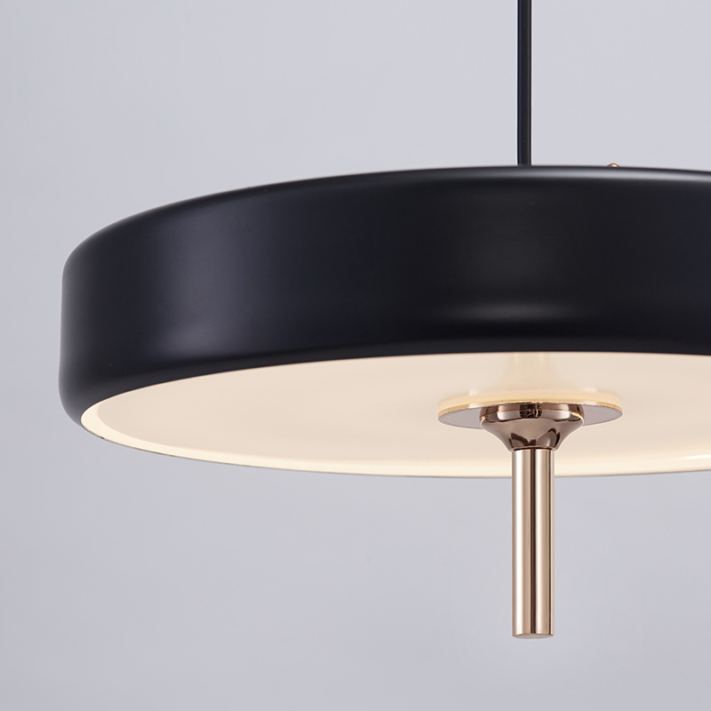 Modern Circular Contracted LED Metal Pendant Hanging Lamp