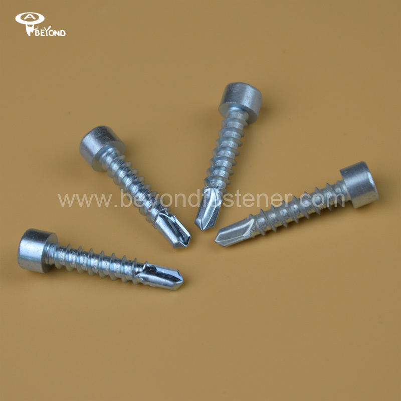 Screw/Self Drilling Screw/Wing Tek Screw /Fastener/Self Tapping Screw