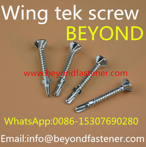 Screw/Self Drilling Screw/Twist Screw/Epoxy Screw/Bulider Screw