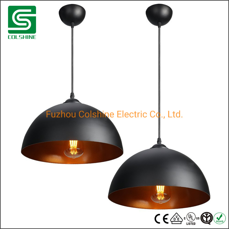 Pendant Light Indoor Pendants Lighting Pendant Lamp