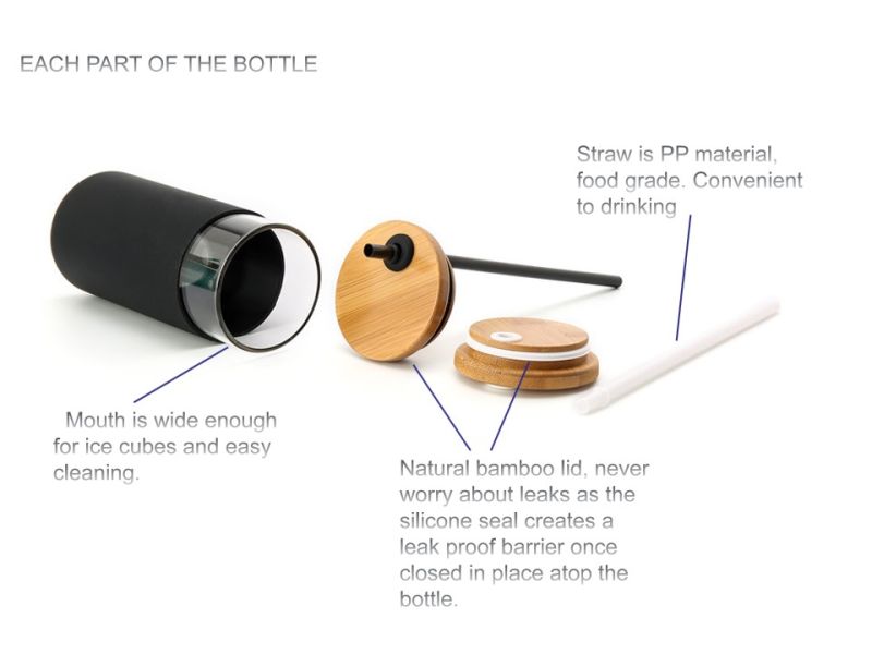 Drinking Borosilicate Glass Bottle with Straw BPA Free 350ml/580ml