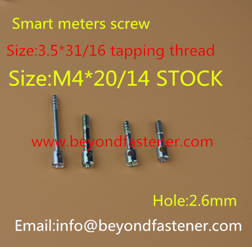 Terminal Cover Screw/Sealing Screw/Machine Screw/Meters Screw