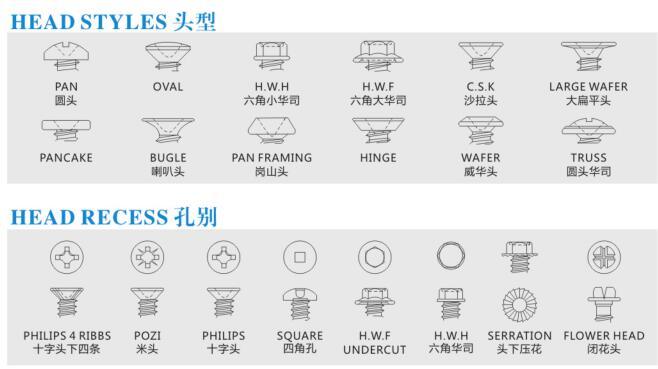 Screw/Self Drilling Screw/Wing Tek Screw /Fastener/Self Tapping Screw