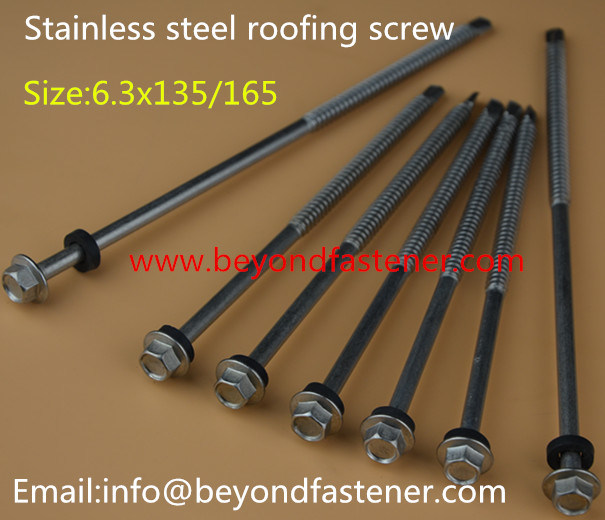 Torx Screw/Screw/Tapping Screw/Epoxy Screw Bimetal Screw Ruspert Screw