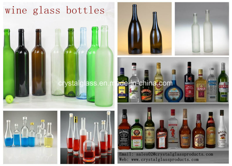 450cc Wide Mouth Glass Water Bottle 500ml My Bottle