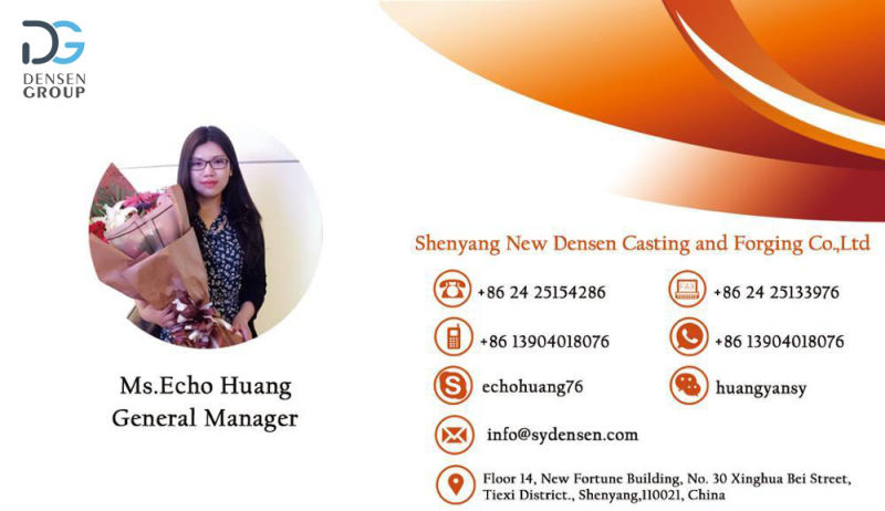 Densen Customized Lower Price Investment Casting Stainless Steel Diffusor for Pump