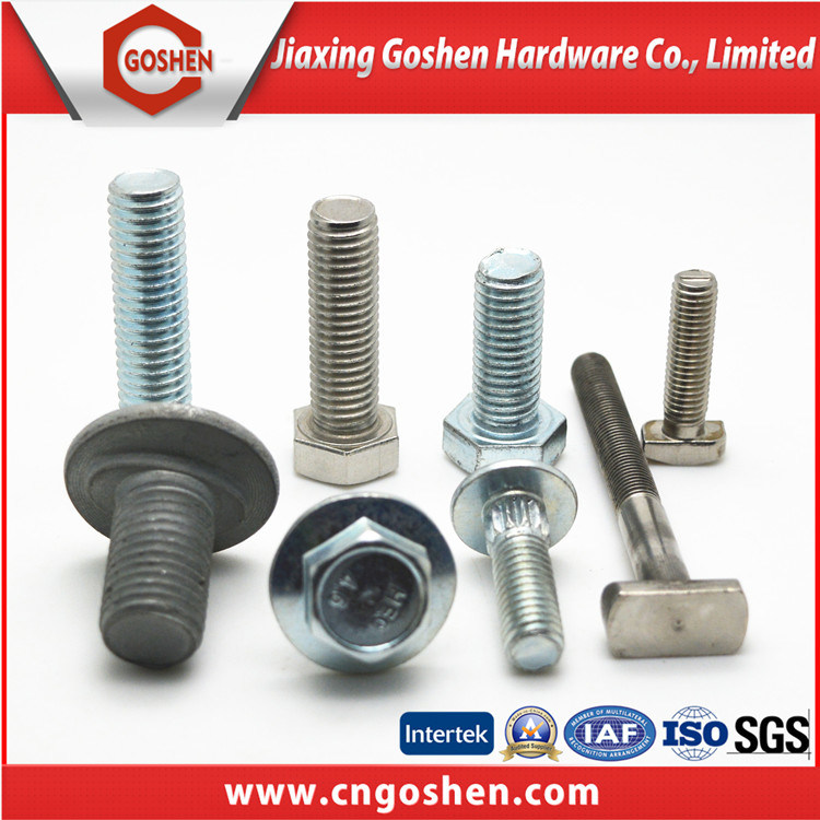 Fastener Hex Bolt/Flange Bolt/Carriage Bolt/U Bolt/Wing Bolt/ Eye Bolt