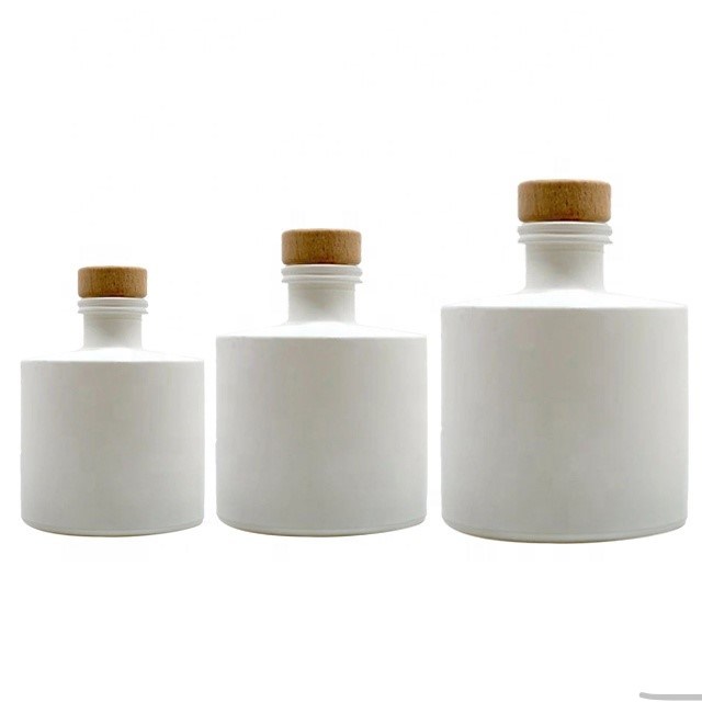 2021 New Fashion 120ml Reed Diffuser Glass Bottles