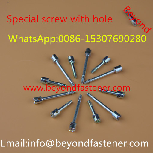 Terminal Cover Screw/Sealing Screw/Machine Screw/Meters Screw