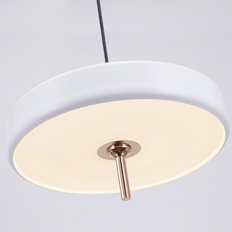 Modern Circular Contracted LED Metal Pendant Hanging Lamp