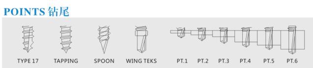 Screw/Self Drilling Screw/Wing Tek Screw /Fastener/Self Tapping Screw