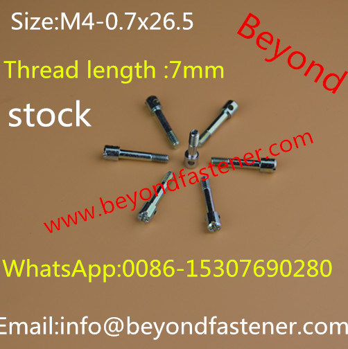 Terminal Cover Screw/Sealing Screw/Machine Screw/Meters Screw