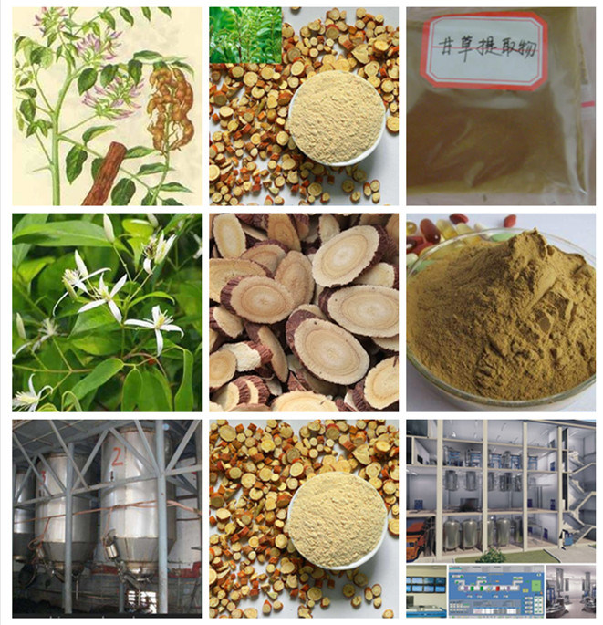 Batch Extraction for Plant Oil Volatile Oil Aromatic Oil