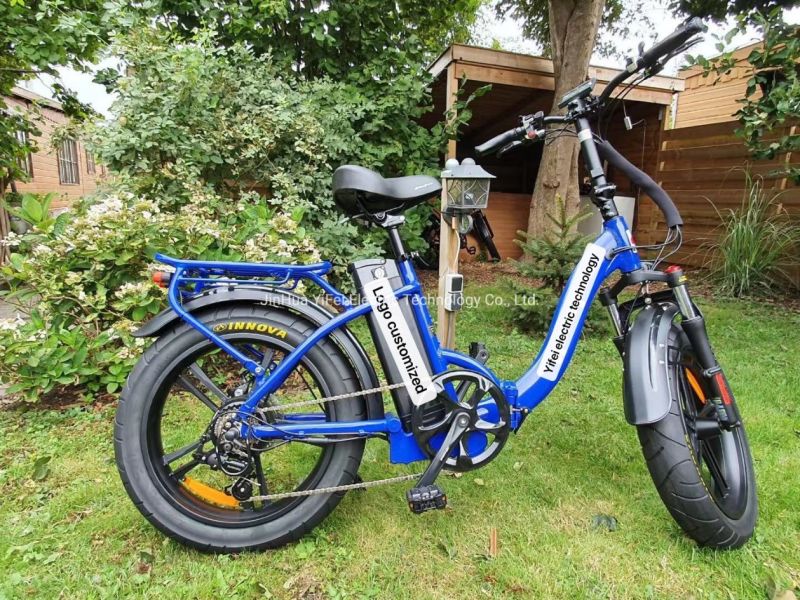 Popular Folding Electric Bicycle/ Hot Sale Full Suspension Folding E Bike