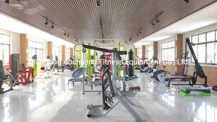 Hot Sale Gym Total Abdominal with Gym Equipment