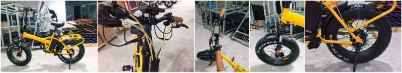 Popular Folding Electric Bicycle/ Hot Sale Full Suspension Folding E Bike