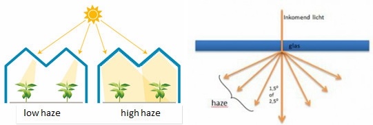 4mm Clear/ Diffuse Horticulture Glass for Commercial Greenhouse