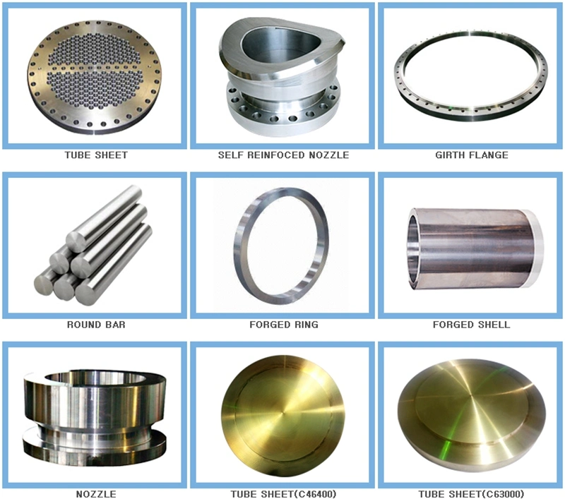 Fusion Bonded Epoxy Coating Carbon Steel Lap Joint Flange Epoxy Coated ASTM A105 Flange