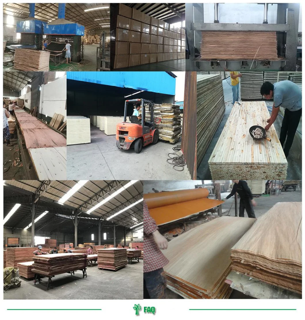 Linyi WBP Glue Film Faced Plywood/Marine Plywood