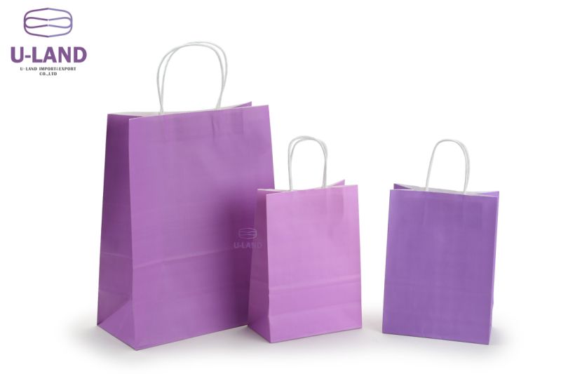 Brown Kraft Paper Bags with Handles Brown Kraft