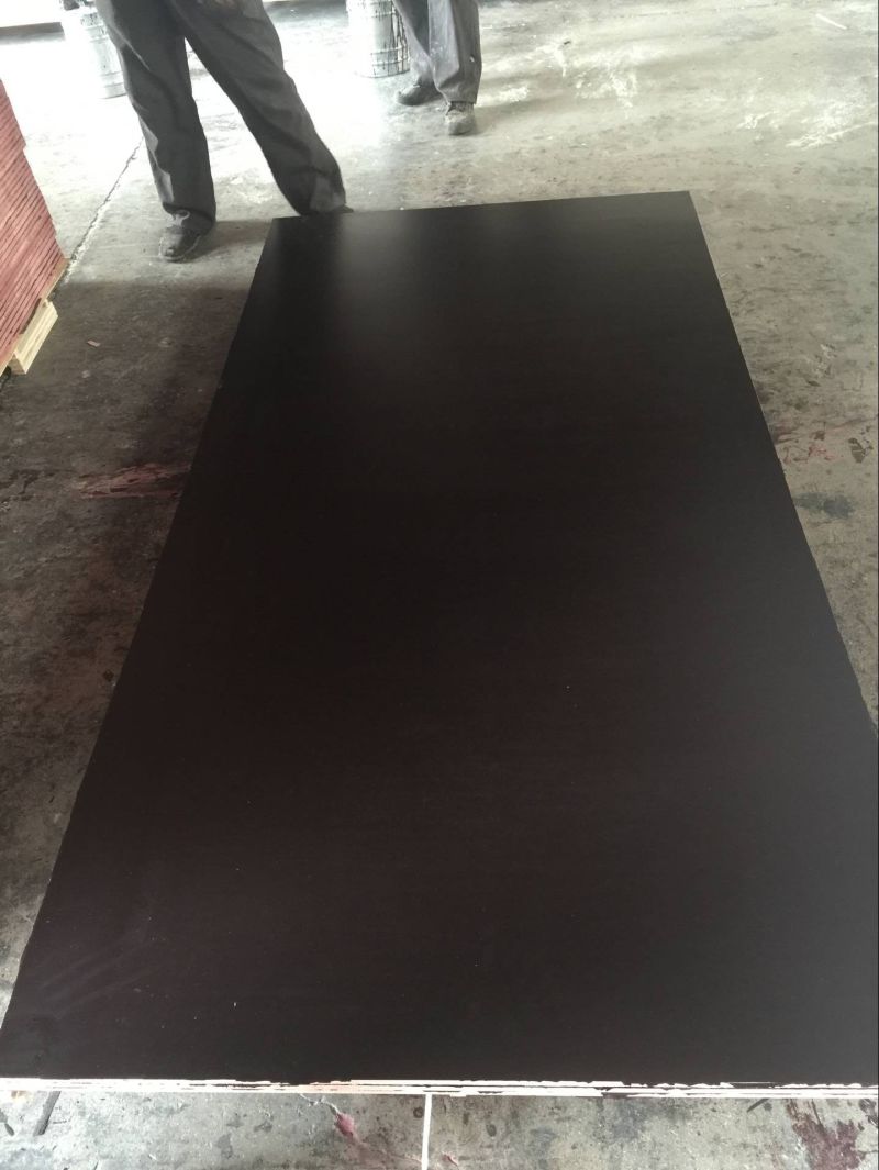 Factory-Brown and Black Film Face Plywood WBP Glue in 15mm 18mm