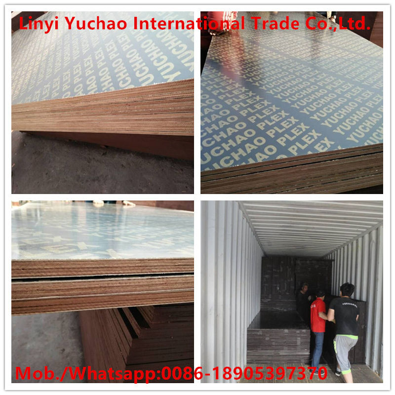 WBP Glue Marine Plywood with Full Hardwood Core for Construction