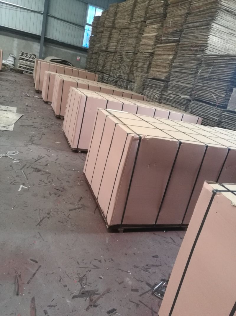 21mm WBP Glue Shuttering Plywood for Concrete Formwork