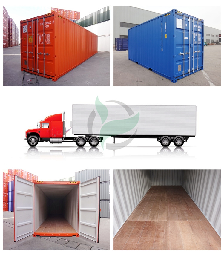 Waterproof Marine Plywood E0 Glue Iicl Dry Container Floor Panel