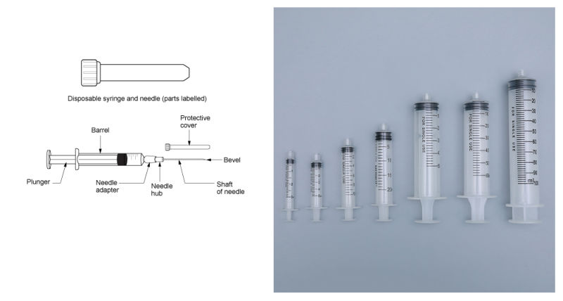 Disposable Sterile Syringe with Needle Two Part/ Three Part Transparent