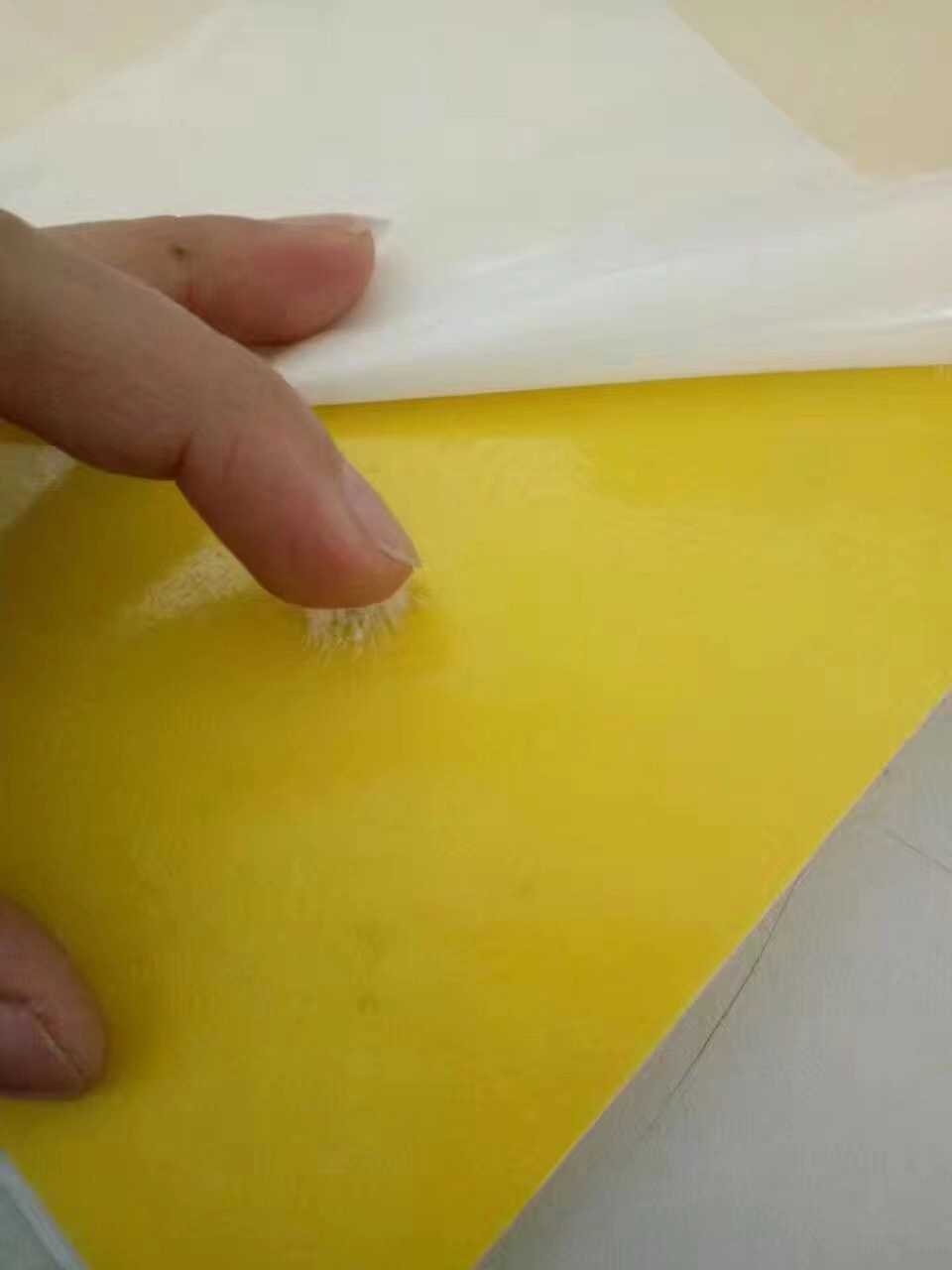 Insect Killer, Fly Glue Board Trap Sticky Board, Non-Toxic, Harmless, Non-Polluting