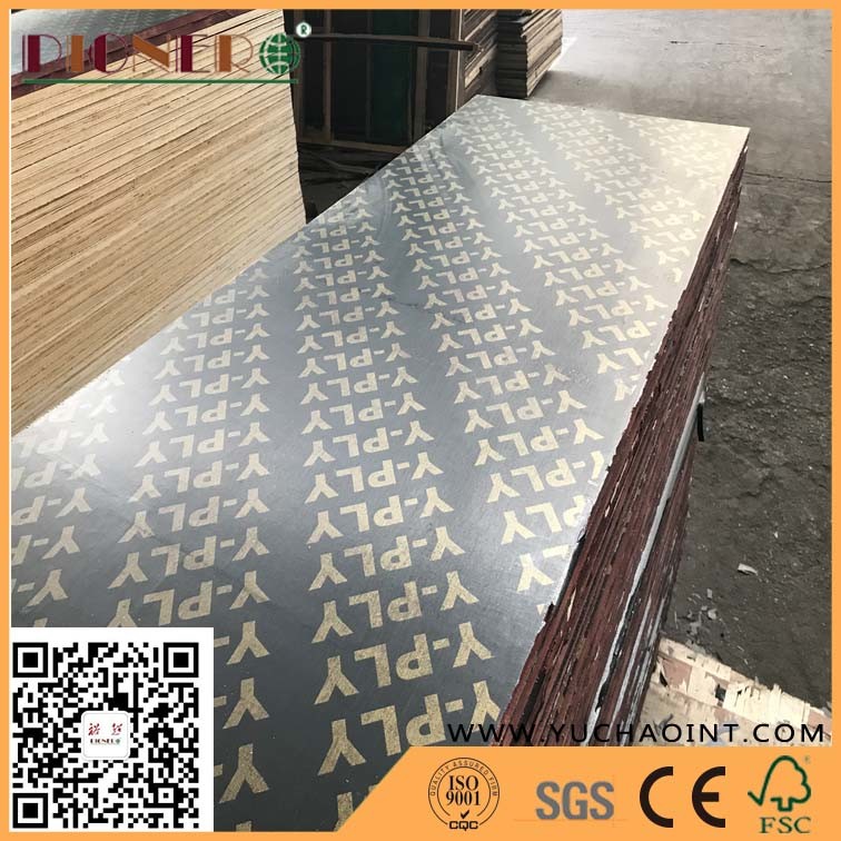 Fsc Certificate 625X2500mm WBP glue Marine Plywood