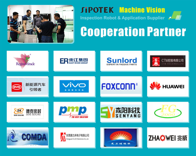 Sealing Ring Automatic Vision Inspection Sorting Machine