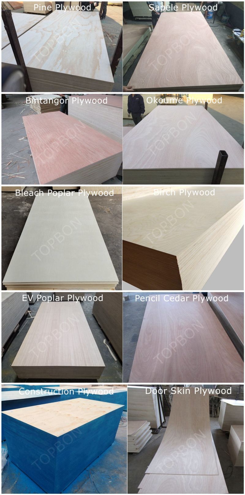 Lumber/Timber/Woods/ Poplar Plywood From Linyi City