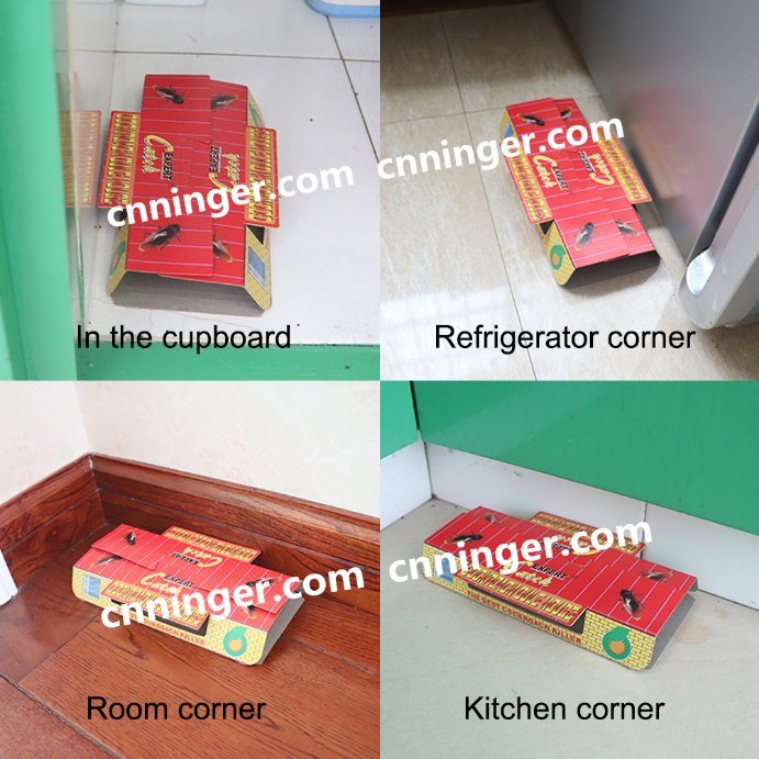 China Roach Baited House Glue Trap Factory Manufacturer