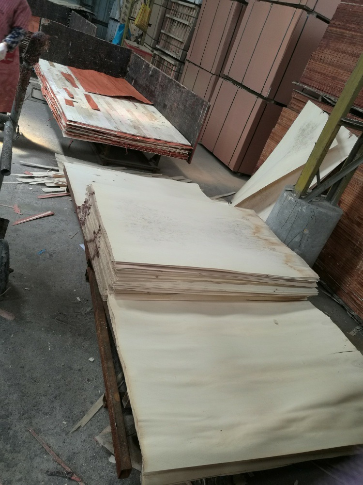 Marine Plywood/Shuttering Plywood Panels Poplar Core WBP Glue for Concrete