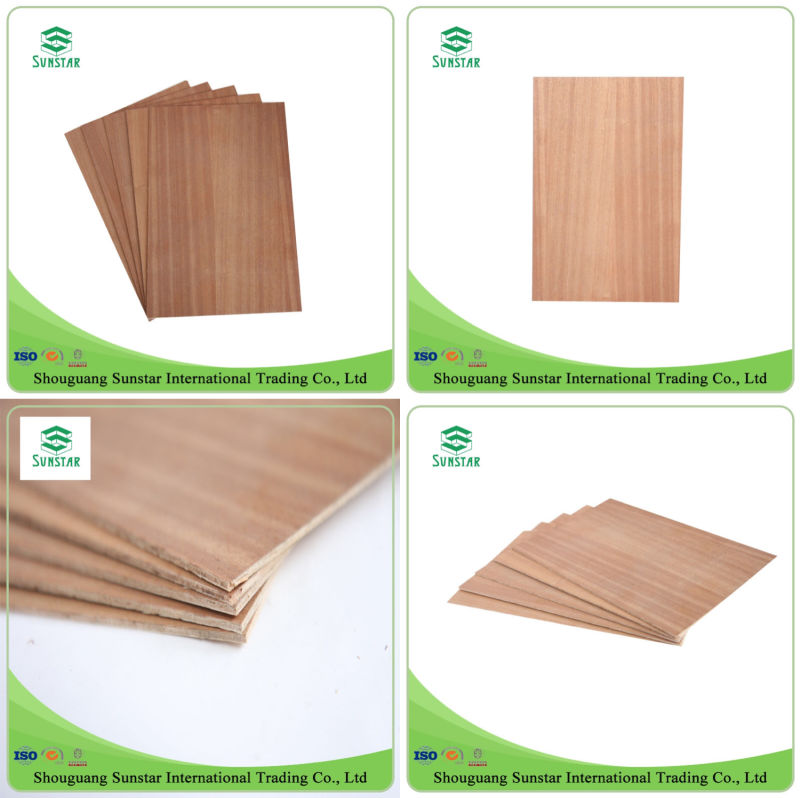 Film Faced Plywood/Marine Plywood WBP Glue (5mm/6mm/8mm/9mm/11mm/21mm)